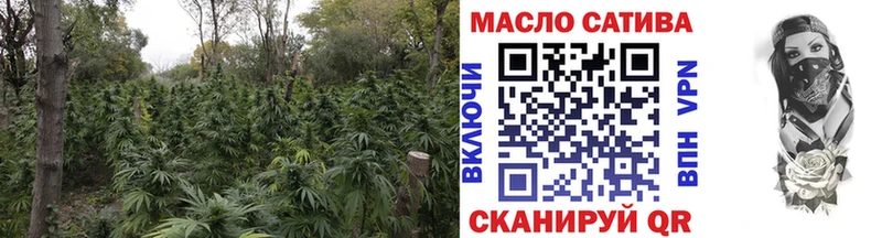 дарк нет какой сайт  Ирбит  ТГК вейп 