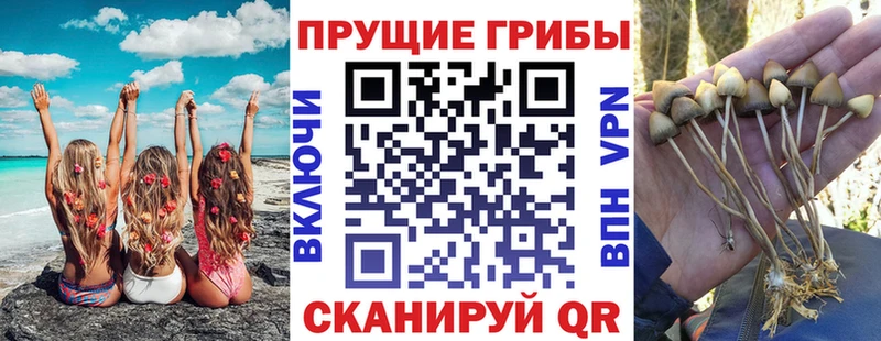 купить  цена  Ирбит  Галлюциногенные грибы ЛСД 